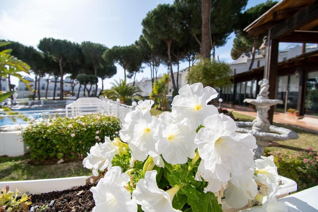 Casadelsol-marbella-slonce,piasek,szmaragdowa Woda Apartamento *