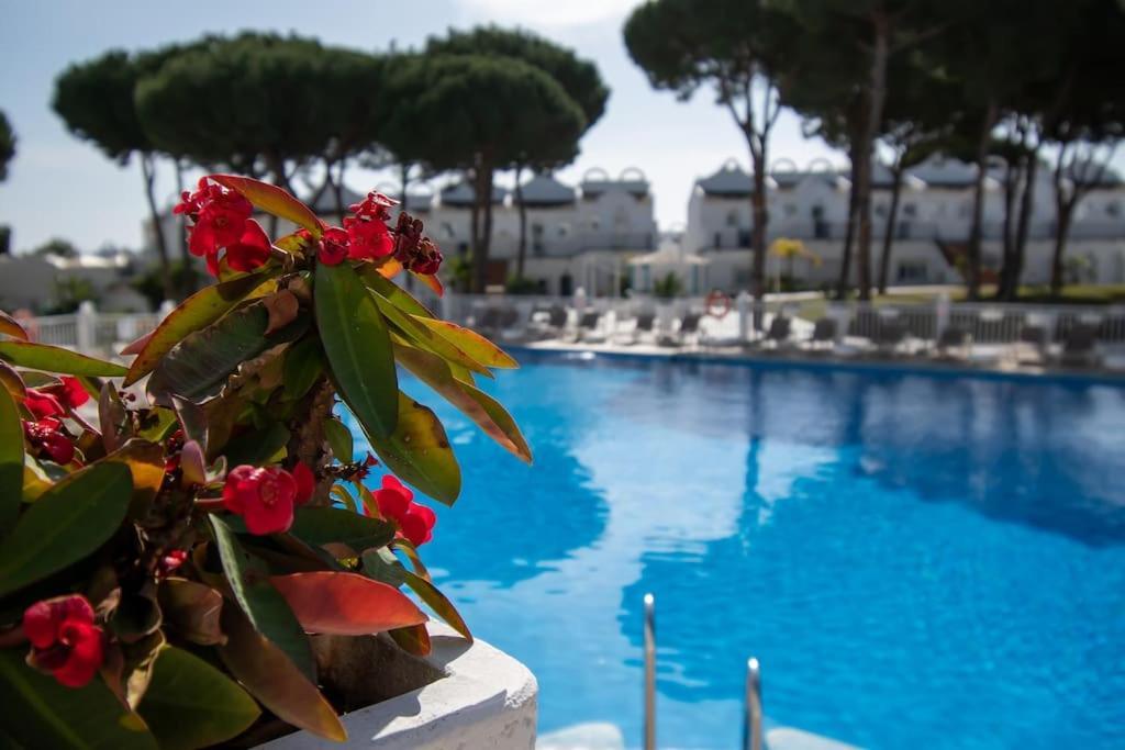 Casadelsol-marbella-slonce,piasek,szmaragdowa Woda Apartamento *