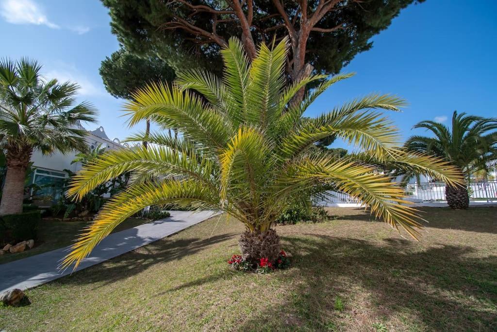 Casadelsol-marbella-slonce,piasek,szmaragdowa Woda Apartamento